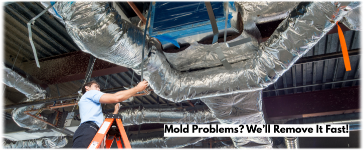 Air Duct Mold Removal in Wylie TX
